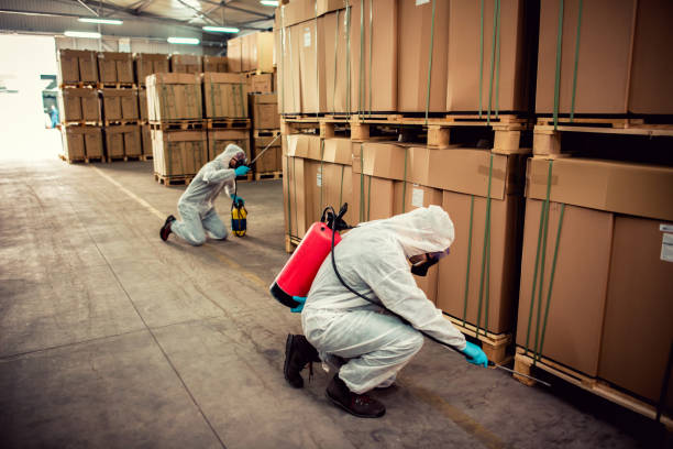 Trusted Huntington Woods, MI Pest Control Experts