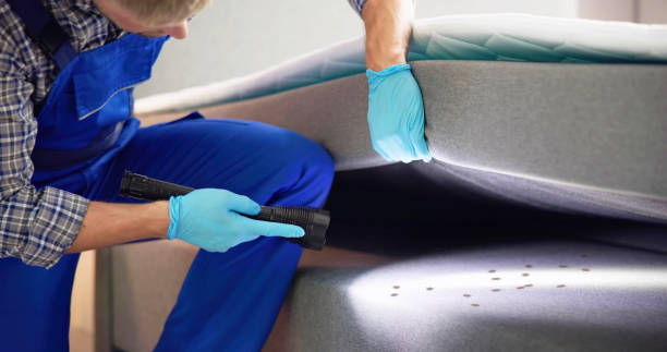 Best Pest Inspection Near Me  in Huntington Woods, MI