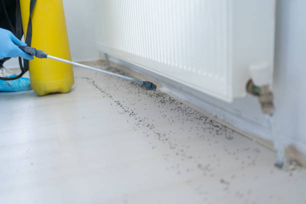 Best Best Pest Control Companies  in Huntington Woods, MI