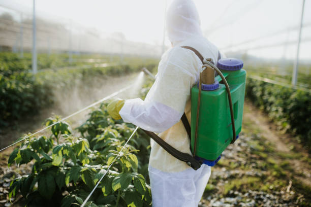 Best Mosquito Control Services  in Huntington Woods, MI